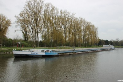 IMG_4359_1.JPG (153.95 Kio) Vu 1215 fois IMG_4359_1.JPG