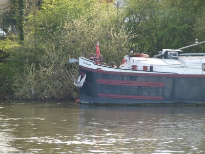 P4107949 (Copier).JPG (1.03 Mio) Vu 1633 fois P4107949 (Copier).JPG