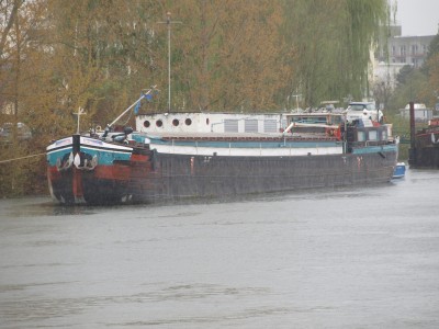 P4087879 (Copier).JPG (863.27 Kio) Vu 1652 fois P4087879 (Copier).JPG