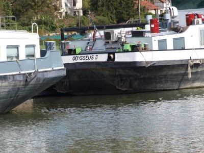 P4107918 (Copier).JPG (1020 Kio) Vu 3420 fois P4107918 (Copier).JPG