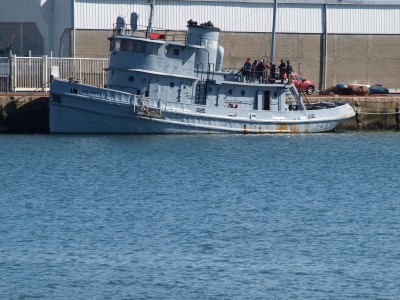 P4097899 (Copier).JPG (1.01 Mio) Vu 1198 fois P4097899 (Copier).JPG