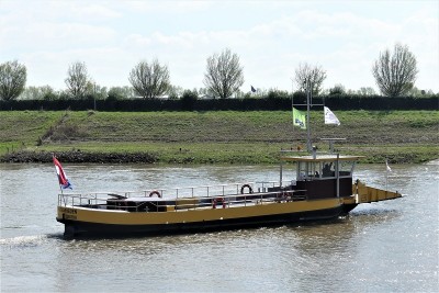 Wuta-5-16-04-2022-Rhheden (2).JPG (245.89 Kio) Vu 1539 fois Wuta-5-16-04-2022-Rhheden (2).JPG