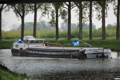 IMG_4447_1.JPG (164.67 Kio) Vu 2969 fois IMG_4447_1.JPG