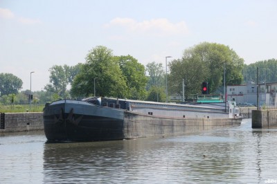 IMG_4560_1.JPG