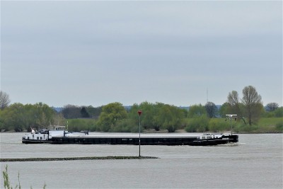 Misando-1-15-04-2022-Millingen-aan-de-Rijn (2).JPG