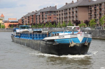 IMG_4694_1.JPG (160.25 Kio) Vu 1024 fois IMG_4694_1.JPG