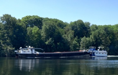 rainbow poussé 2-21_06_2022.JPG (844.2 Kio) Vu 24948 fois rainbow poussé 2-21_06_2022.JPG