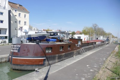 VOGEL GRYFF Mulhouse avril 2022.jpg (183.4 Kio) Vu 2635 fois VOGEL GRYFF Mulhouse avril 2022.jpg