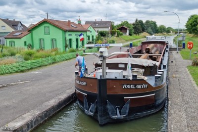 VOGEL GRYFF Herbitzheim juillet 2022.jpg (242.16 Kio) Vu 2635 fois VOGEL GRYFF Herbitzheim juillet 2022.jpg