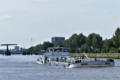 Merel-1-21-06-2022-Lageland (2).JPG