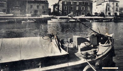 FLEURETTE Vagus 11.jpg (143.84 Kio) Vu 9484 fois FLEURETTE Vagus 11.jpg