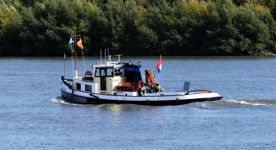 Brutus-22-09-2022-Schoonhoven (2).JPG (215.77 Kio) Vu 1917 fois Brutus-22-09-2022-Schoonhoven (2).JPG