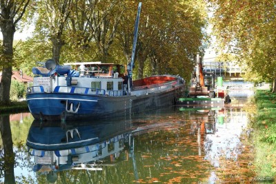 VOGEL GRYFF Illkirch 2022-10-25 (ar).jpg (316.49 Kio) Vu 3010 fois VOGEL GRYFF Illkirch 2022-10-25 (ar).jpg