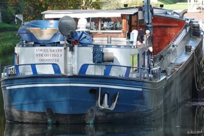 VOGEL GRYFF Illkirch 2022-10-25 (matricule).jpg (209.98 Kio) Vu 2998 fois VOGEL GRYFF Illkirch 2022-10-25 (matricule).jpg