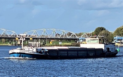 Furore-1-02-11-2022-Grave (2).jpg (187.02 Kio) Vu 1695 fois Furore-1-02-11-2022-Grave (2).jpg