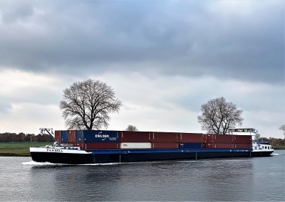 Faresia-4-30-11-2022-Niftrik (2).jpg (136.52 Kio) Vu 1468 fois Faresia-4-30-11-2022-Niftrik (2).jpg