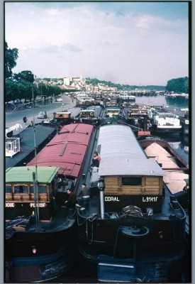 ph-Conflans-coral-1973@W.Weiss.jpg