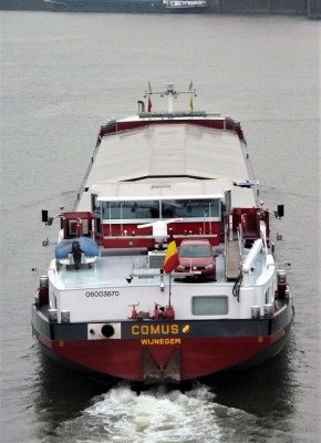 comus-5-17-10-2011-sluis-weurt (2).JPG