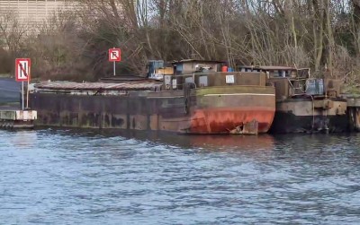 VOILIER et OLIVE à Rouvignies - 2023-02-05 (4).jpg (159.8 Kio) Vu 1885 fois VOILIER et OLIVE à Rouvignies - 2023-02-05 (4).jpg