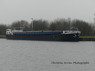 Lapurdensis Strepy-Thieu.JPG (109.53 Kio) Vu 1289 fois Lapurdensis Strepy-Thieu.JPG