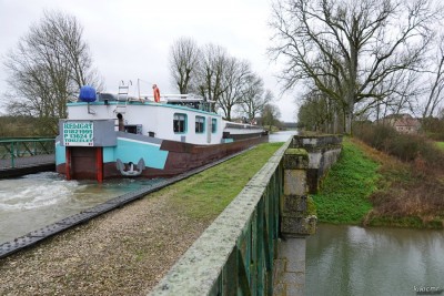 RELICAT Bologne (2).jpg (258.63 Kio) Vu 5045 fois RELICAT Bologne (2).jpg