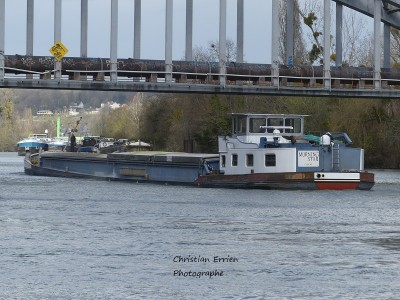 Morning Star Champagne1.JPG (253.71 Kio) Vu 1185 fois Morning Star Champagne1.JPG