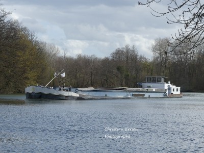 Morning Star Champagne2.JPG (246.25 Kio) Vu 1186 fois Morning Star Champagne2.JPG