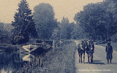 P1040469 (2).JPG (269.11 Kio) Vu 677 fois P1040469 (2).JPG