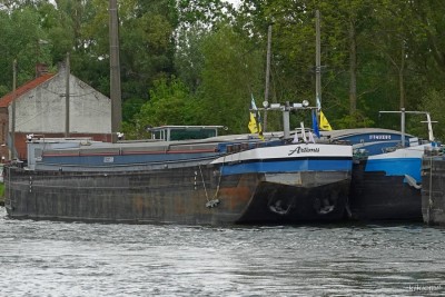 ARTEMIS - Arleux - 2023-05-17 (dét).jpg