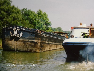 Thalie Episy.JPG (227.98 Kio) Vu 1471 fois Thalie Episy.JPG