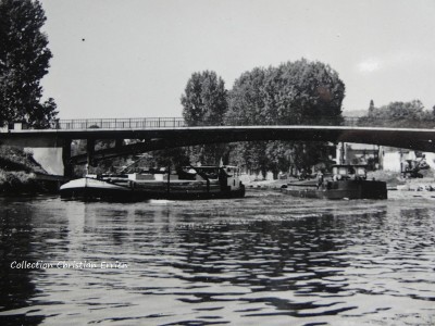 Aigrette Choisy au Bac.JPG (201.72 Kio) Vu 3869 fois Aigrette Choisy au Bac.JPG