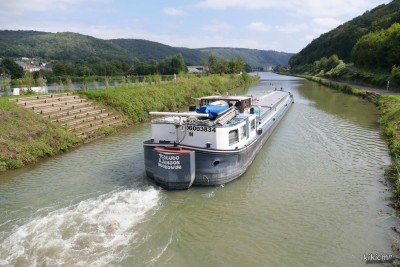 TESTUDO - Levrezy (02).jpg (215.53 Kio) Vu 2450 fois TESTUDO - Levrezy (02).jpg