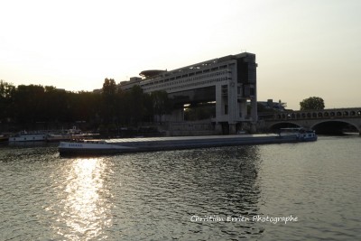 Savanne Bercy.JPG (159.81 Kio) Vu 1225 fois Savanne Bercy.JPG