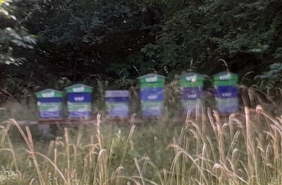 Vnf 2 (Copier).jpg (111.44 Kio) Vu 22242 fois Vnf 2 (Copier).jpg