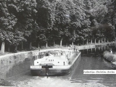 P1060199.JPG (249.97 Kio) Vu 1545 fois P1060199.JPG