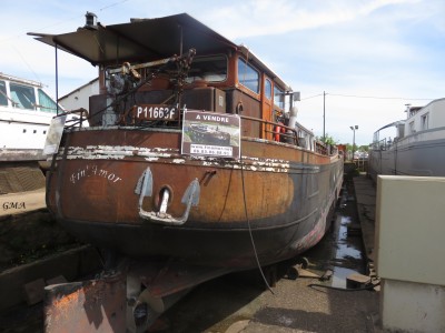 fin amor-st jean-29-04-2023.JPG (838.27 Kio) Vu 2106 fois fin amor-st jean-29-04-2023.JPG