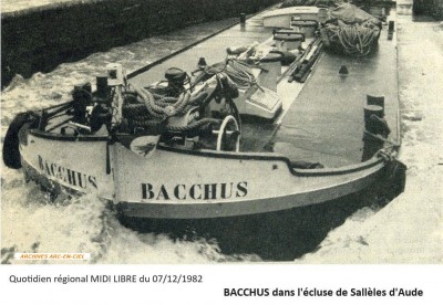 Bacchus Vagus 12.jpg
