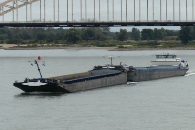 Schorpioen-1-08-10-2023-Nijmegen.JPG