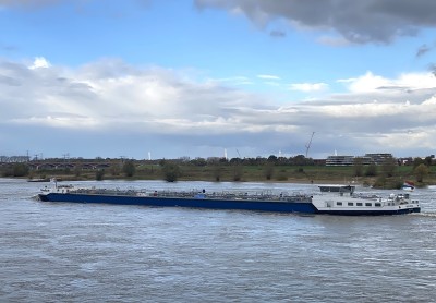 Blue-Olivia-3-11-11-2023-Nijmegen.jpg (136.42 Kio) Vu 472 fois Blue-Olivia-3-11-11-2023-Nijmegen.jpg