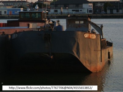 P'TIT GRIS Vagus 01.jpg