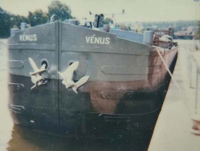 VENUS nez vide.jpg (98.36 Kio) Vu 987 fois VENUS nez vide.jpg