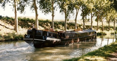 Willy 701.jpg (333.98 Kio) Vu 3326 fois Willy 701.jpg