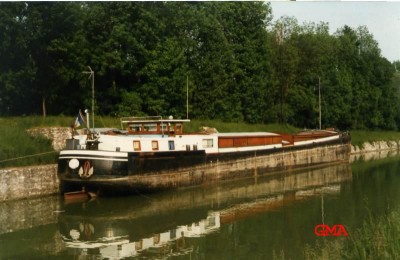 edelweis-ar@GM.JPG