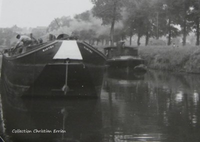 Martre.JPG (113 Kio) Vu 593 fois Martre.JPG