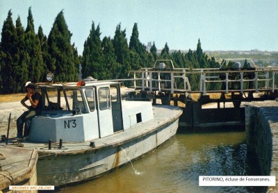 PITORINO Vagus 01.jpg