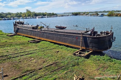 ZITA (03).jpg (561.21 Kio) Vu 2422 fois ZITA (03).jpg