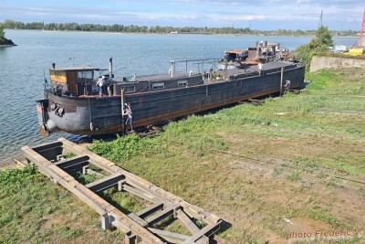 ZITA (04).jpg (478.03 Kio) Vu 2122 fois ZITA (04).jpg