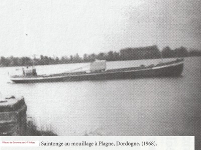 SAINTONGE Vagus 01.jpg