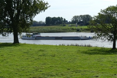 Rerovi-3-25-09-2023-Grave.JPG