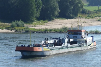 Wilma-1-23-08-2023-Ewijk.JPG